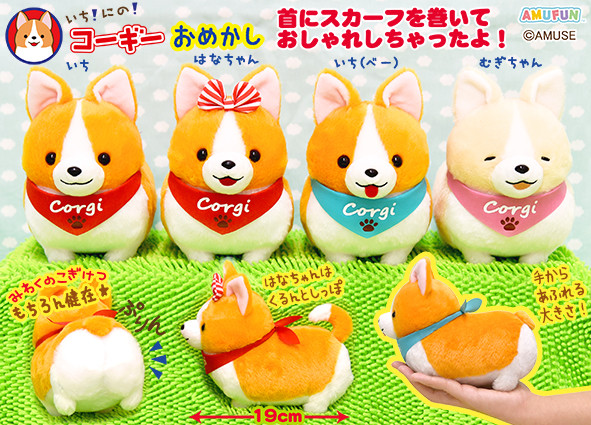 ichi ni no corgi