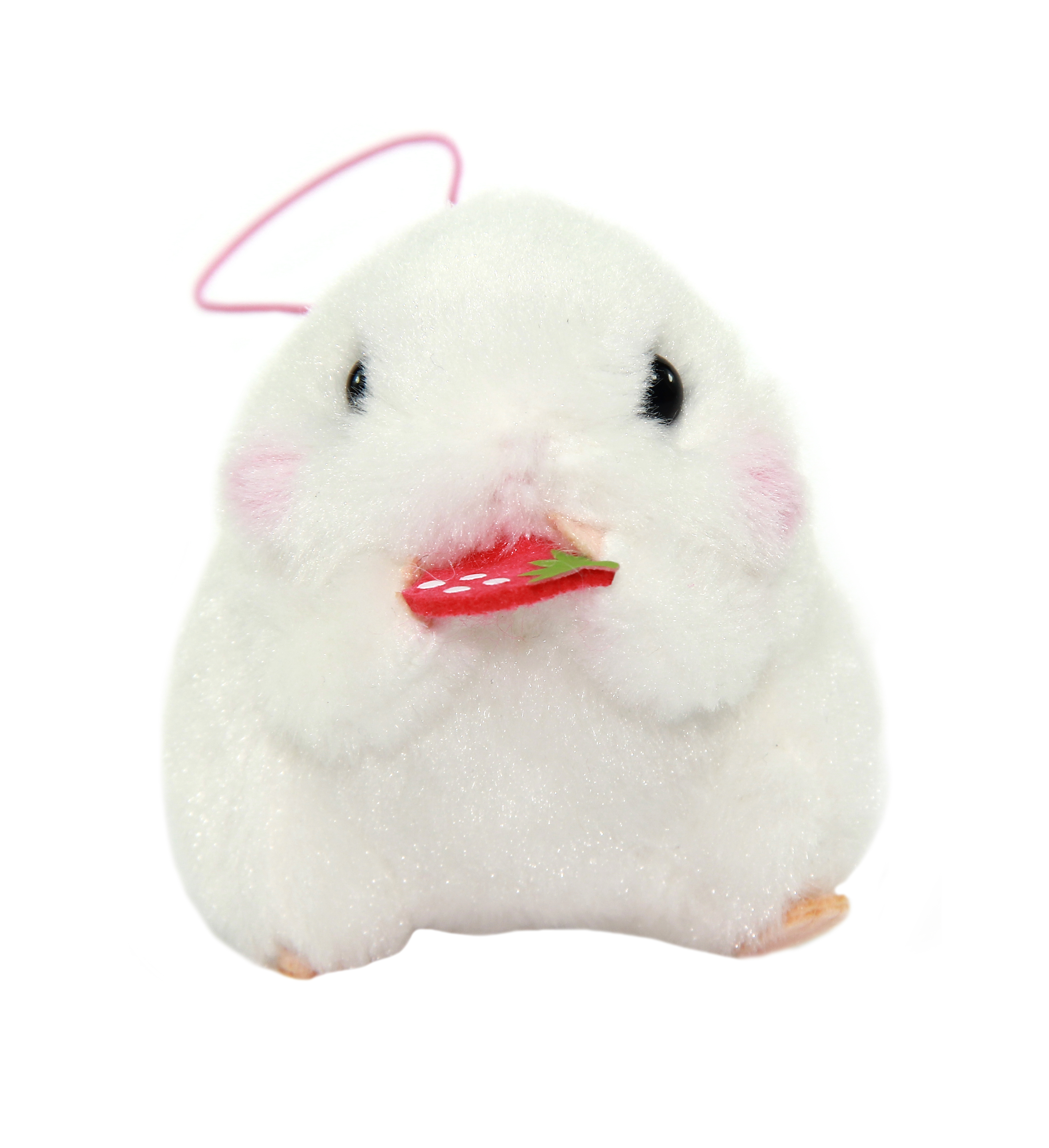 amuse collection hamster