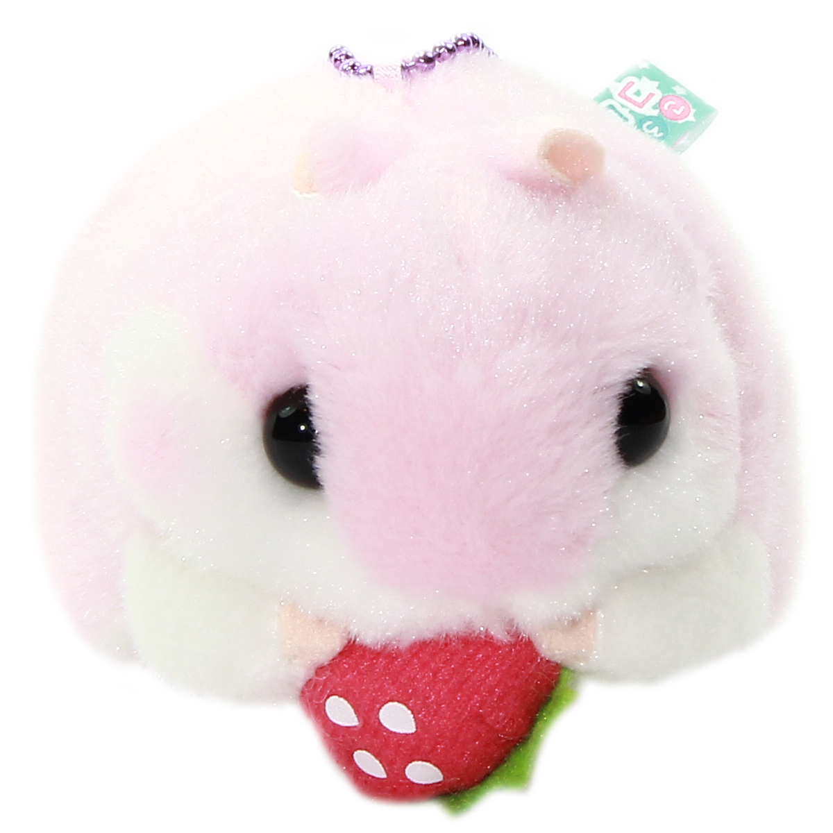 amuse collection hamster