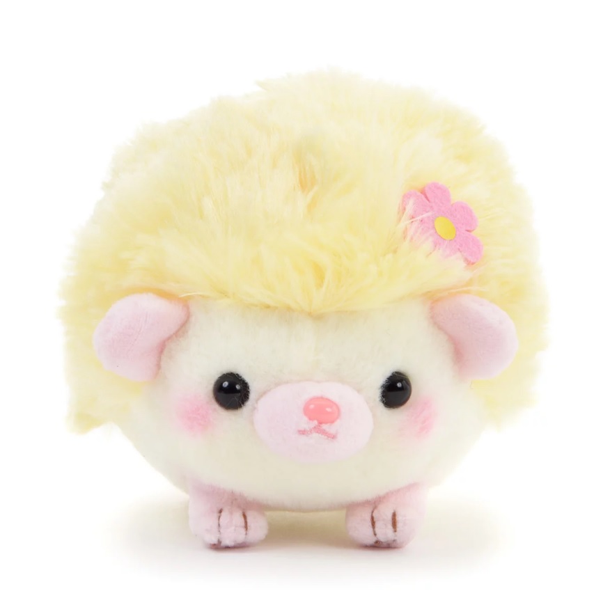 amuse collection hedgehog
