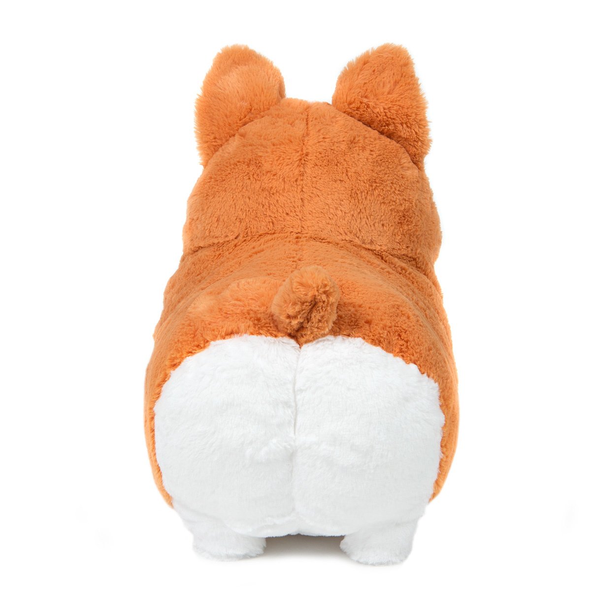 ichini the corgi