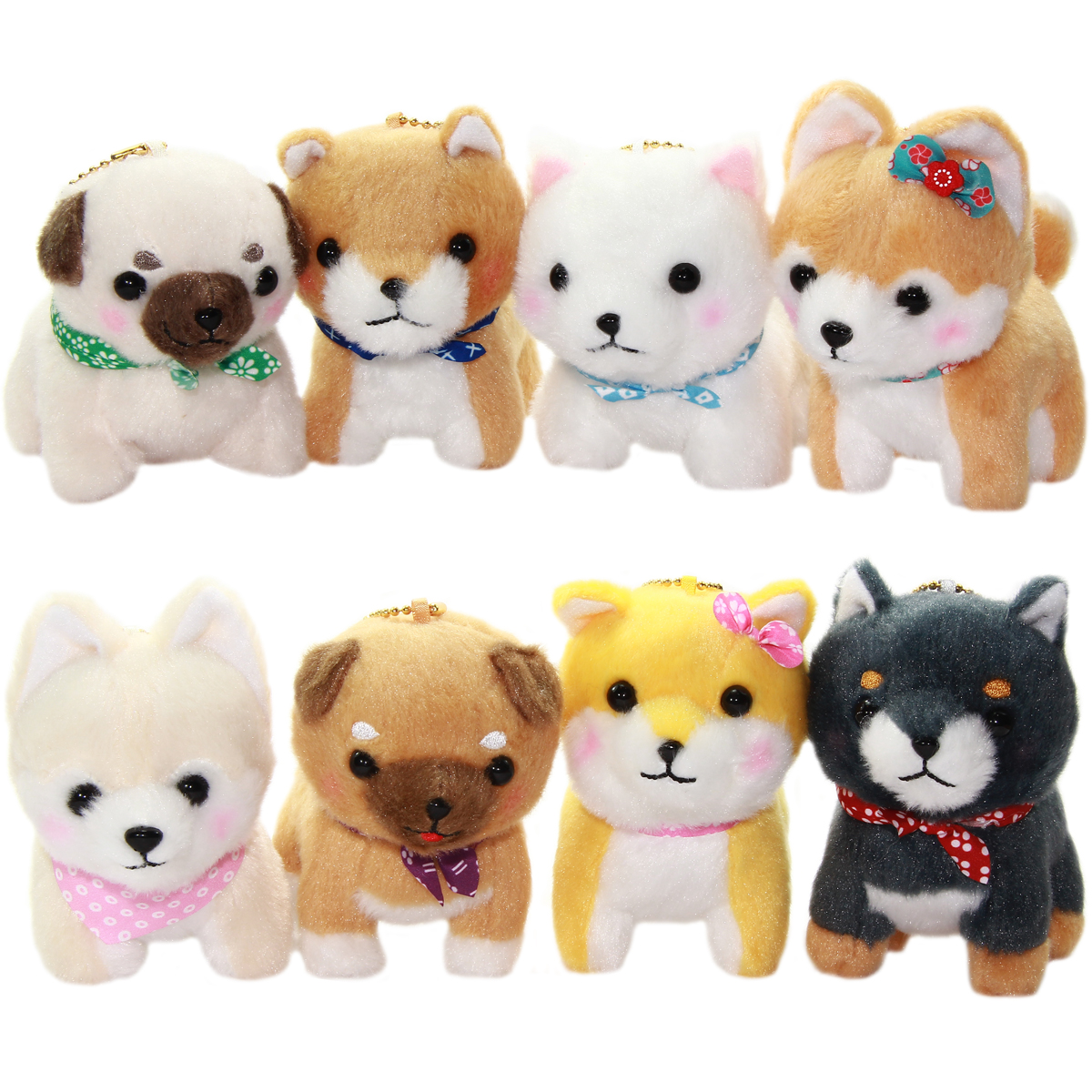 amuse collection shiba