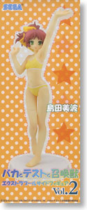 Minami Shimada, Swimsuit Ver Vol. 2, Baka To Test To Shoukanjyuu, Sega