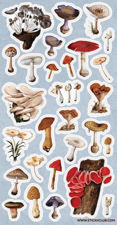 Forest Fungi Sticker Sheet