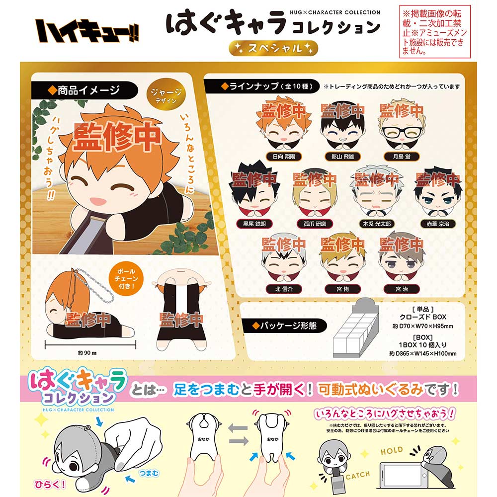 Haikyuu! Hug X Character Special Random Blind Box Plushie